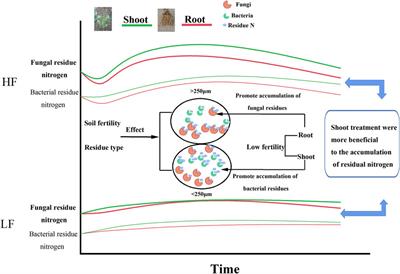 Microbial Residual Nitrogen Distribution in Brown Earth’s Aggregates as Affected by Different Maize Residues and Soil Fertility Levels